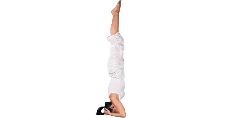 Sirsasana Yoga