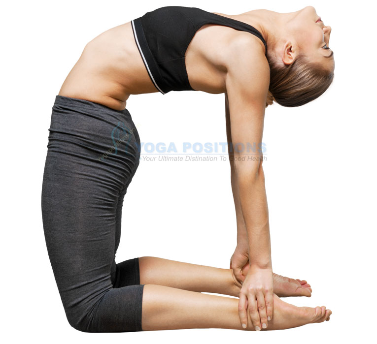 How to do Sarvangasana? Check Steps, Precautions & Benefits