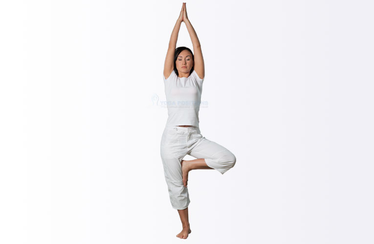 Vrikshasana Yoga poses